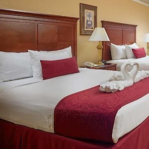 Chambre Lit Queen-Size